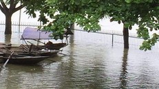 Nước ngập sâu, người dân Ninh Bình chèo thuyền đi lại