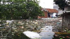 Rác sinh hoạt tràn ngập ở vùng lũ huyện Chương Mỹ (Hà Nội).