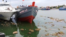 Quảng Ngãi: Rác thải ngập tràn cảng Sa Kỳ