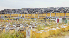 Bãi rác sát cạnh nghĩa trang thành phố Hội An gây nên sự nhếch nhác và ảnh hưởng tới không gian tâm linh của nghĩa trang nhân dân