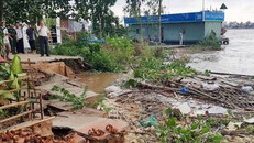 Vụ sạt lở đã ăn sâu vào đất liền đến 25m nên nhiều người dân ở cù lao Ông Hổ không khỏi bàng hoàng lo sợ. 