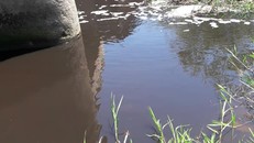 Hà Tĩnh: Nước kênh đen ngòm, cá chết hàng loạt, nghi do rò rỉ từ bãi xử lý rác ở huyện Lộc Hà?