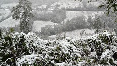 Vùng núi cao phía Bắc khả năng có mưa tuyết, băng giá đợt rét đậm