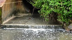 Xả thải của Công ty phát triển hạ tầng khu kinh tế Gia Lai