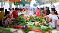 Kinh tế Trung Quốc liên tiếp chịu đòn giáng chỉ trong vài ngày