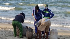 Người dân hỗ trợ công nhân vệ sinh môi trường thu gom cá chết vào chiều 10/11