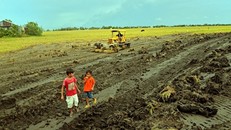 Nông dân xã Mỹ Thái, huyện Hòn Đất, Kiên Giang cải tạo đất phục vụ sản xuất nông nghiệp