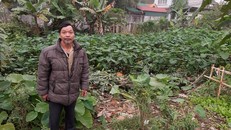 Ông Lê Văn Tráng đứng trên ao Nhang Trân –nơi đang xảy ra tranh chấp quyền sử dụng đất