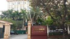 Thanh Hóa: Sẽ triệu tập hơn 1.000 giáo viên tiếng Anh để kiểm tra năng lực