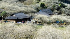 Khách sạn ở Mộc Châu cháy phòng dịp Tết Nguyên đán 2019