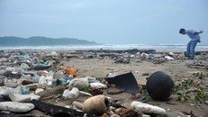 Chi hơn 35 tỷ đóng gói 70 nghìn tấn rác ở Côn Đảo mang về đất liền