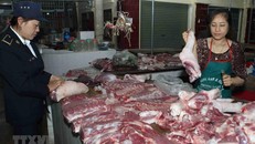 hân viên Thú y kiểm tra sản phẩm thịt lợn tại hộ kinh doanh trong chợ. (Ảnh: Vũ Sinh/TTXVN)