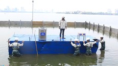 Thiết bị công nghệ Nano của Nhật Bản được đặt thử nghiệm ở một đoạn sông Tô Lịch và một góc hồ Tây với kỳ vọng khắc phục tình trạng cá chết hàng loạt. 