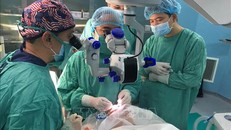Các bác sỹ Bệnh viện Trung ương Huế thực hiện ghép giác mạc cho bệnh nhân. Ảnh: Hồ Cầu/TTXVN