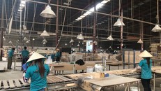 Ngành lâm nghiệp thu hút đầu tư với việc hầu như không còn điều kiện đầu tư kinh doanh nào vào ngành - Ảnh: VGP/Đỗ Hương