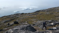 Những tảng băng trôi nổi trên vịnh Ilulissat trong lớp sương mù suốt một tuần thời tiết ấm áp bất thường gần Ilulissat, Greenland. 