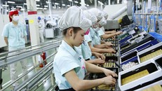 Có 5 nhóm nguyên nhân dẫn đến thay đổi của quy mô GDP