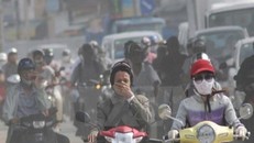 Chống bụi mịn từ thực phẩm hằng ngày