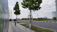 Khu đất 43 ha thực hiện dự án Khu đô thị Tân Phú nằm ở mặt tiền đường Võ Văn Kiệt và Phạm Ngọc Thạch (con đường đắt giá nhất tỉnh Bình Dương)