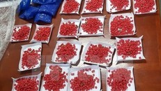 Ảnh minh họa. (Nguồn: TTXVN)