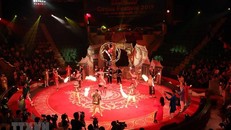 Các quy định về việc xét tặng danh hiệu nghệ sỹ còn bộc lộ nhiều bất cập, không phù hợp với thực tế. (Ảnh minh họa: TTXVN)