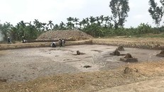 Bãi cọc được phát hiện tại huyện Thủy Nguyên.