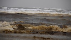 Kết luận vụ nước biển chuyển màu bất thường làm dân lo lắng