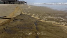 Nước biển có màu xám đen, nổi bọt vàng