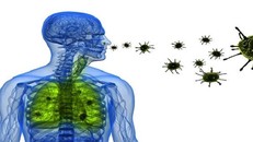 Bệnh viêm phổi do vi rút, Ảnh minh họa: vienyhocungdung.