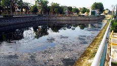 Nước trên kênh hào thành cổ Vinh có một màu đen ngòm, đóng váng, bốc mùi rất hôi thối. 