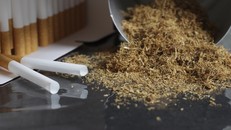 Lượng thuốc lá nguyên liệu nhập khẩu theo ngạch thuế quan năm 2020 là 59.098 tấn