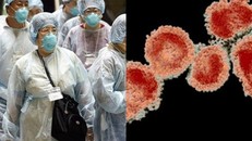 Dịch nhiễm nCoV đang có những diễn biến phức tạp 