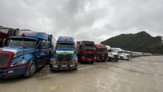 Hàng trăm xe container chở thanh long đang nằm chờ thông quan tại cửa khẩu Tân Thanh.