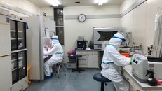 Các nhà khoa học Việt Nam đang nỗ lực tiếp tục các nghiên cứu về COVID-19