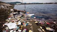 Phải chủ động xây dựng kế hoạch ứng phó sự cố chất thải