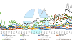 Diễn biến các chỉ số ngành từ 2007 - nay. (Nguồn: YSVN)