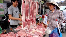 Giá thịt lợn bán chợ vẫn cao dù nhiều DN đã giảm giá lợn hơi còn 70.000 đông/kg