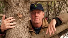 Iceland khuyến khích ôm cây thay người