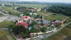 Chùa Nga Hoàng: Thầy Toàn không thể quay trở về vì đã vi phạm nghiêm trọng