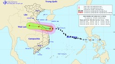 Vị trí và đường đi của bão số 5.
