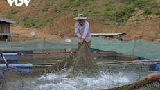 Chương trình OCOP tỉnh Sơn La được triển khai đã nhận được sự hưởng ứng, tích cực tham gia của nhân dân, doanh nghiệp và hợp tác xã.