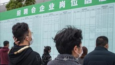 Người tìm việc theo dõi thông tin tại một hội chợ việc làm ở Vũ Hán, tỉnh Hồ Bắc, Trung Quốc. 