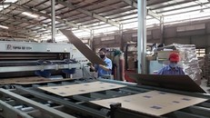 Một doanh nghiệp Đà Nẵng đổi mới công nghệ, hướng đến phát triển kinh tế tuần hoàn