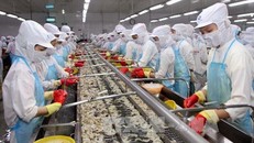 Tạo điều kiện thuận lợi cho doanh nghiệp hồi phục "sức khỏe", góp phần nuôi dưỡng nguồn thu.