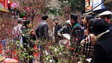 Thời tiết Hà Nội những ngày tới tương đối thuận lợi cho người dân Thủ đô sắm Tết, vui xuân…