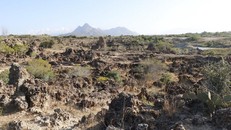 Ninh Thuận: Bãi đá cổ Karang bị xâm phạm, chính quyền không biết?