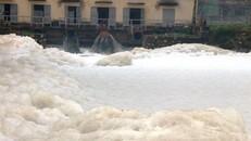 Sông Nhuệ-Đáy ô nhiễm: Chưa làm tròn trách nhiệm khi sông ngày càng bẩn hơn 