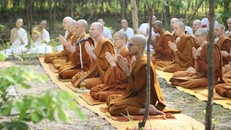 Lời Phật dạy về người bạn tốt