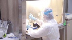 Bộ Y tế thông tin chính thức về đột biến Gene trên mẫu bệnh phẩm COVID-19