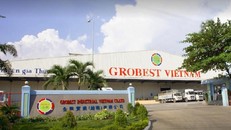 Công ty TNHH Grobest Industrial (Việt Nam) (trụ sở chính tại số 9 đường 3A, Khu công nghiệp Biên Hòa 2, phường Long Bình Tân, thành phố Biên Hòa, tỉnh Đồng Nai)